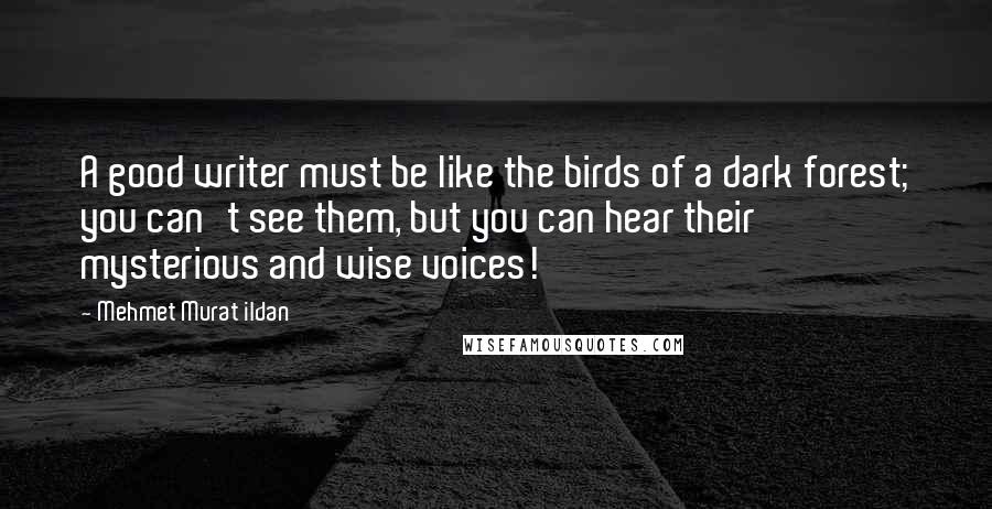 Mehmet Murat Ildan Quotes: A good writer must be like the birds of a dark forest; you can't see them, but you can hear their mysterious and wise voices!