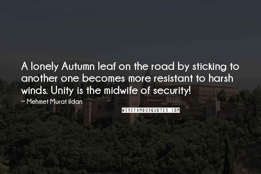 Mehmet Murat Ildan Quotes: A lonely Autumn leaf on the road by sticking to another one becomes more resistant to harsh winds. Unity is the midwife of security!