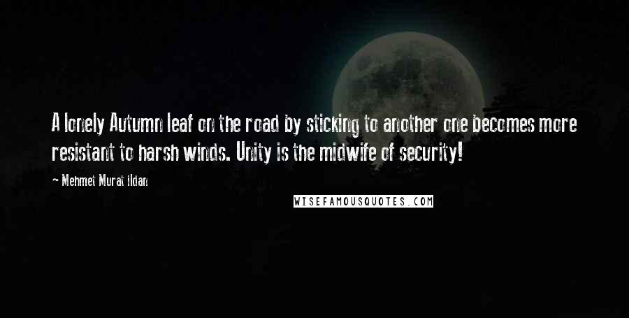 Mehmet Murat Ildan Quotes: A lonely Autumn leaf on the road by sticking to another one becomes more resistant to harsh winds. Unity is the midwife of security!