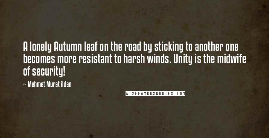 Mehmet Murat Ildan Quotes: A lonely Autumn leaf on the road by sticking to another one becomes more resistant to harsh winds. Unity is the midwife of security!