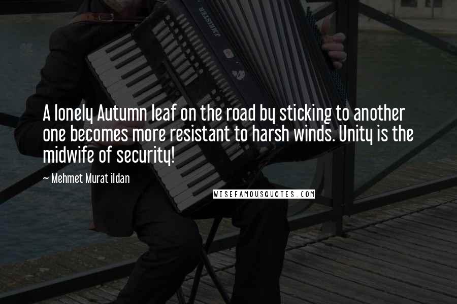 Mehmet Murat Ildan Quotes: A lonely Autumn leaf on the road by sticking to another one becomes more resistant to harsh winds. Unity is the midwife of security!