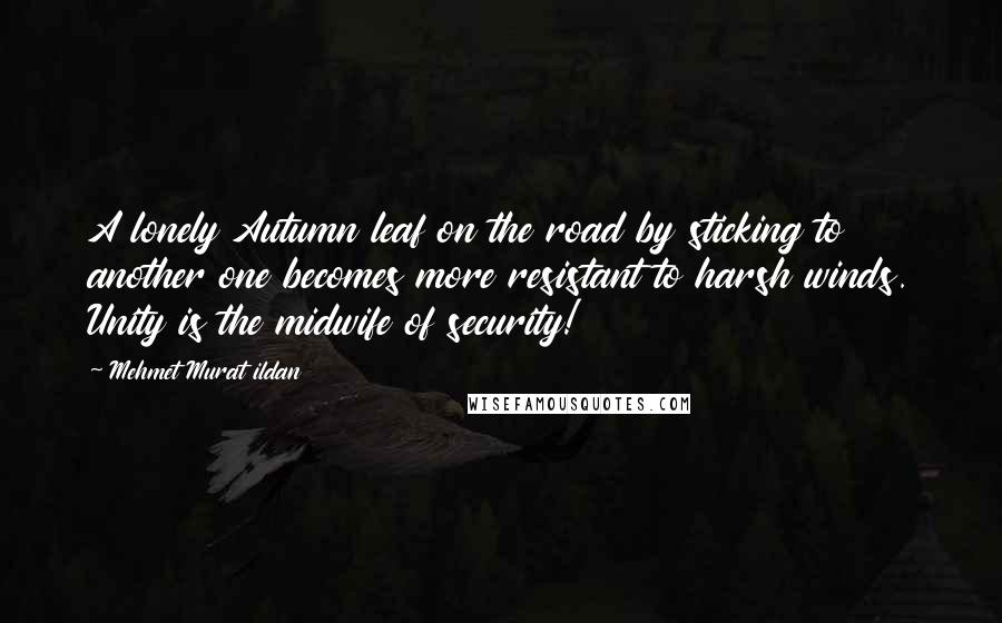 Mehmet Murat Ildan Quotes: A lonely Autumn leaf on the road by sticking to another one becomes more resistant to harsh winds. Unity is the midwife of security!