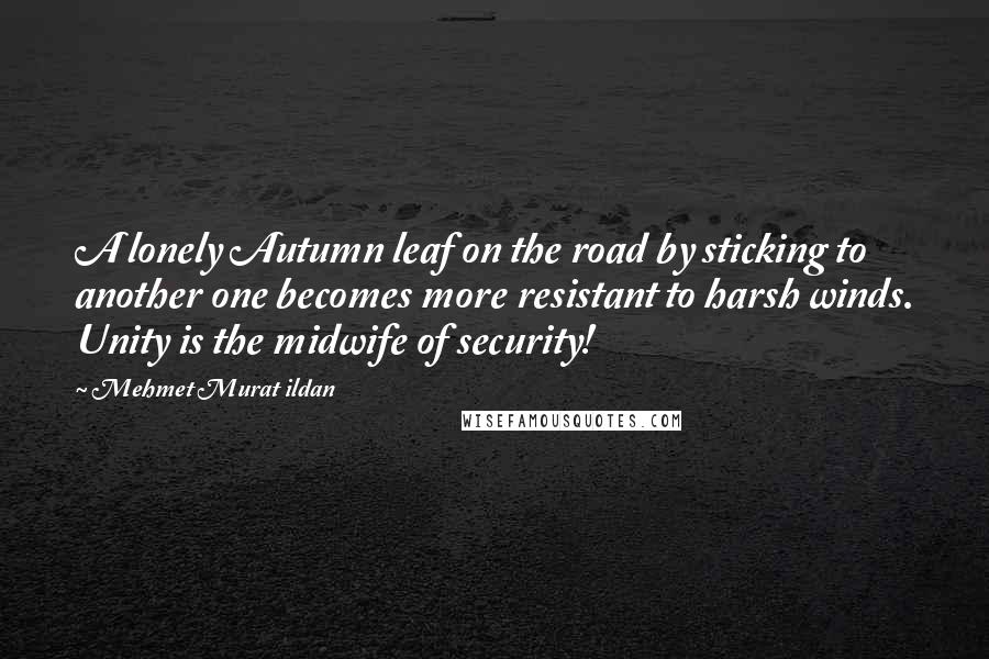 Mehmet Murat Ildan Quotes: A lonely Autumn leaf on the road by sticking to another one becomes more resistant to harsh winds. Unity is the midwife of security!
