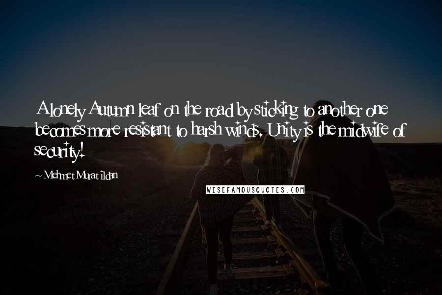 Mehmet Murat Ildan Quotes: A lonely Autumn leaf on the road by sticking to another one becomes more resistant to harsh winds. Unity is the midwife of security!
