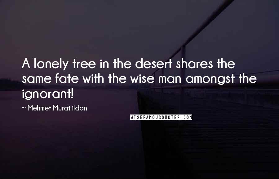 Mehmet Murat Ildan Quotes: A lonely tree in the desert shares the same fate with the wise man amongst the ignorant!