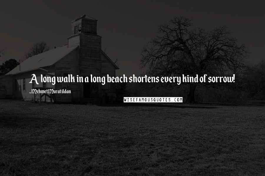 Mehmet Murat Ildan Quotes: A long walk in a long beach shortens every kind of sorrow!