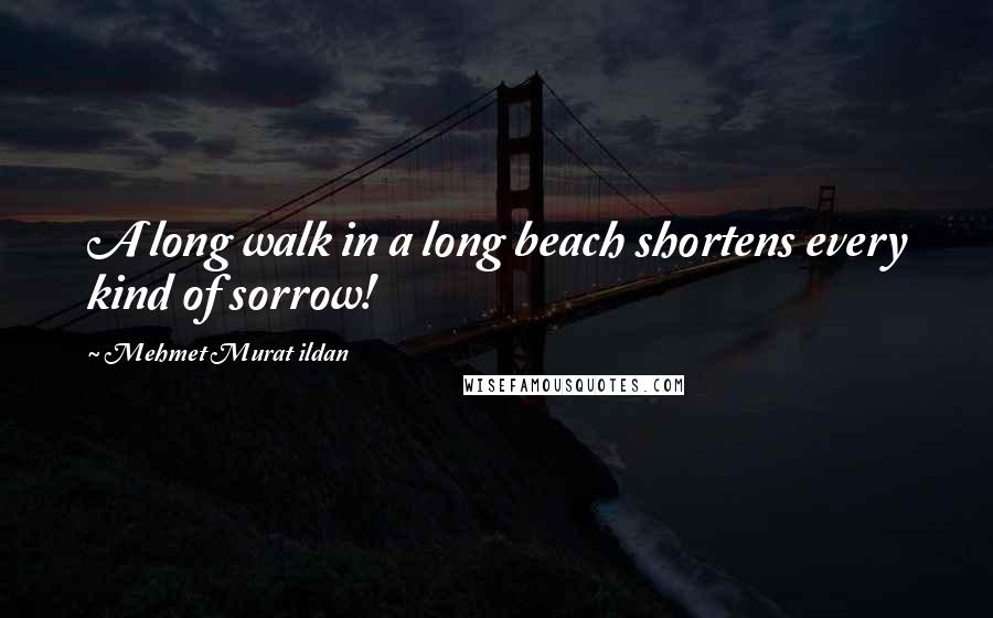 Mehmet Murat Ildan Quotes: A long walk in a long beach shortens every kind of sorrow!