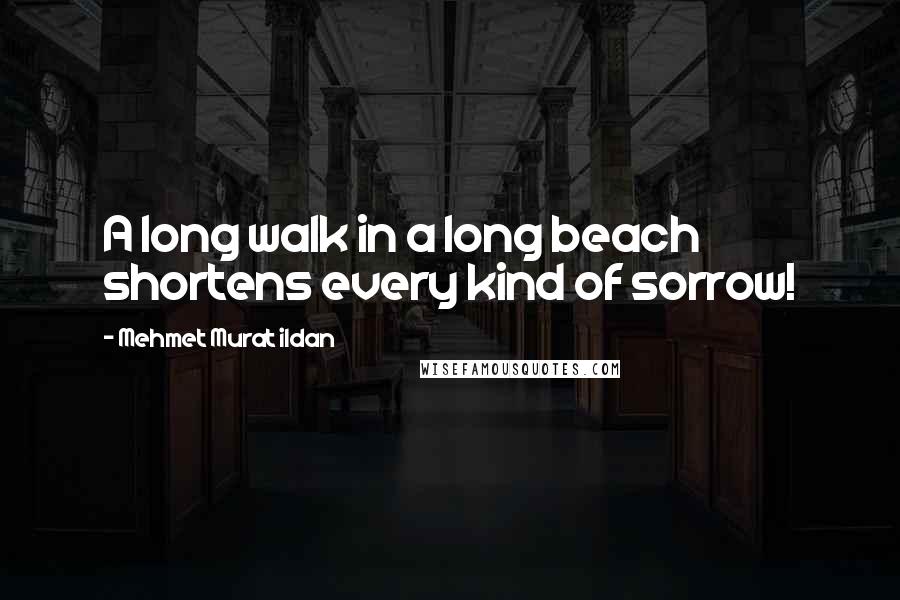 Mehmet Murat Ildan Quotes: A long walk in a long beach shortens every kind of sorrow!