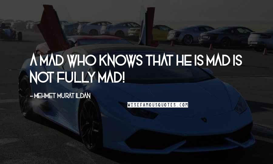 Mehmet Murat Ildan Quotes: A mad who knows that he is mad is not fully mad!