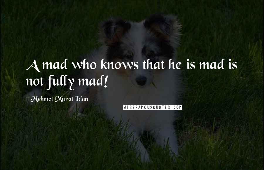 Mehmet Murat Ildan Quotes: A mad who knows that he is mad is not fully mad!