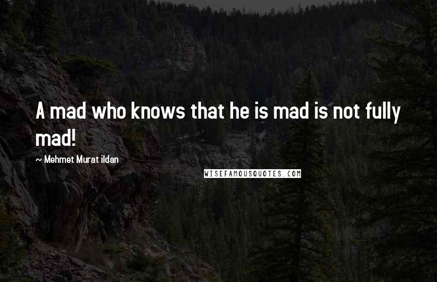Mehmet Murat Ildan Quotes: A mad who knows that he is mad is not fully mad!