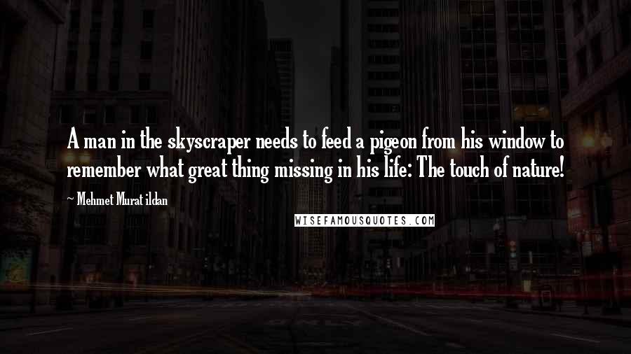Mehmet Murat Ildan Quotes: A man in the skyscraper needs to feed a pigeon from his window to remember what great thing missing in his life: The touch of nature!