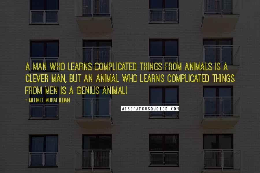 Mehmet Murat Ildan Quotes: A man who learns complicated things from animals is a clever man, but an animal who learns complicated things from men is a genius animal!