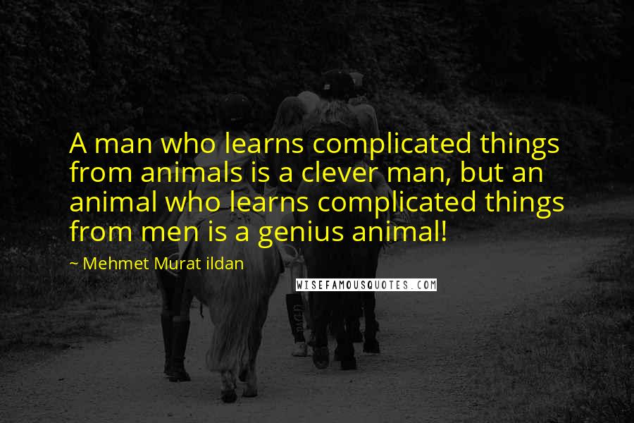 Mehmet Murat Ildan Quotes: A man who learns complicated things from animals is a clever man, but an animal who learns complicated things from men is a genius animal!