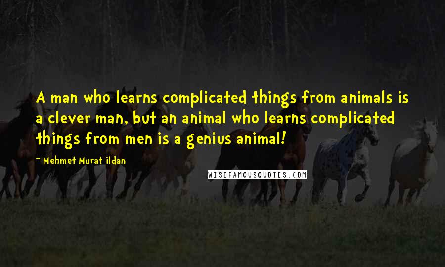 Mehmet Murat Ildan Quotes: A man who learns complicated things from animals is a clever man, but an animal who learns complicated things from men is a genius animal!