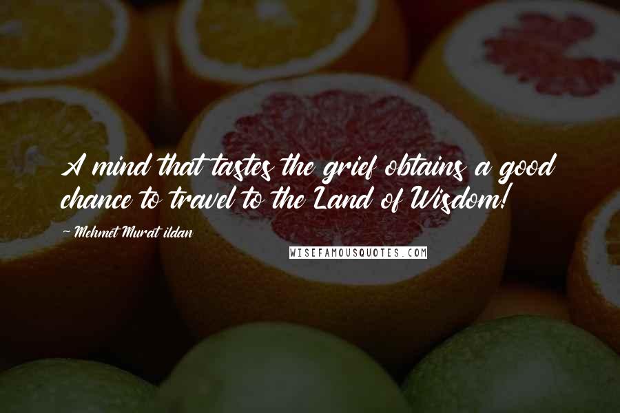 Mehmet Murat Ildan Quotes: A mind that tastes the grief obtains a good chance to travel to the Land of Wisdom!