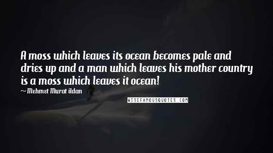 Mehmet Murat Ildan Quotes: A moss which leaves its ocean becomes pale and dries up and a man which leaves his mother country is a moss which leaves it ocean!