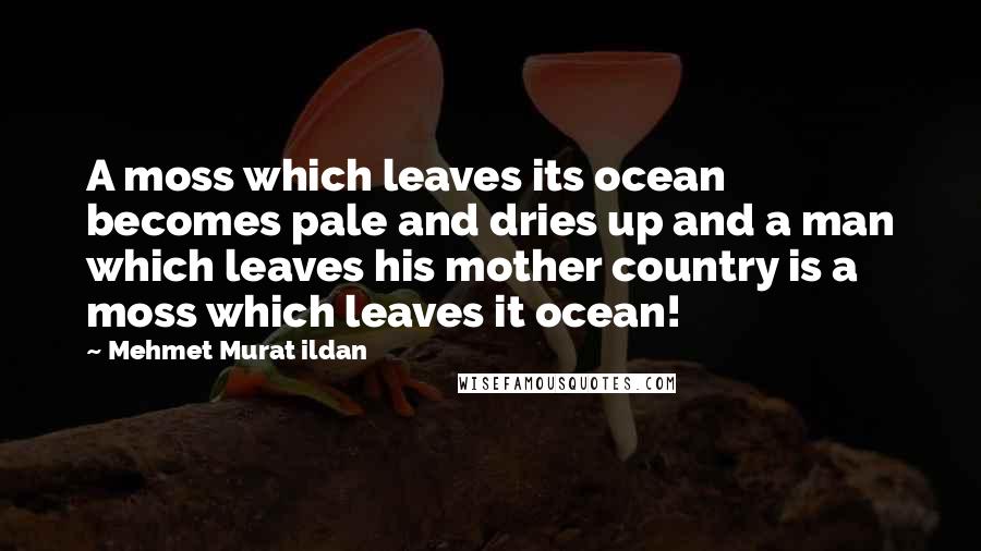 Mehmet Murat Ildan Quotes: A moss which leaves its ocean becomes pale and dries up and a man which leaves his mother country is a moss which leaves it ocean!