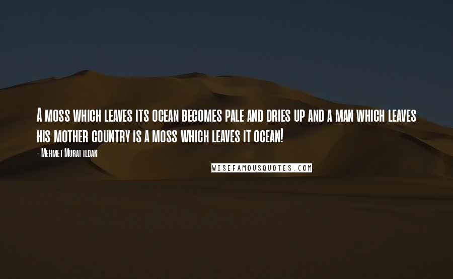 Mehmet Murat Ildan Quotes: A moss which leaves its ocean becomes pale and dries up and a man which leaves his mother country is a moss which leaves it ocean!
