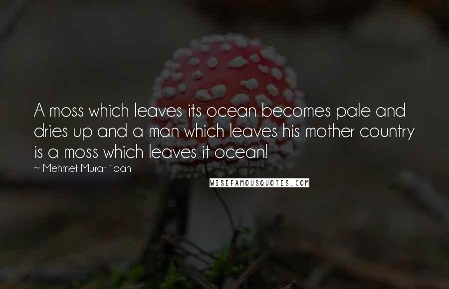 Mehmet Murat Ildan Quotes: A moss which leaves its ocean becomes pale and dries up and a man which leaves his mother country is a moss which leaves it ocean!