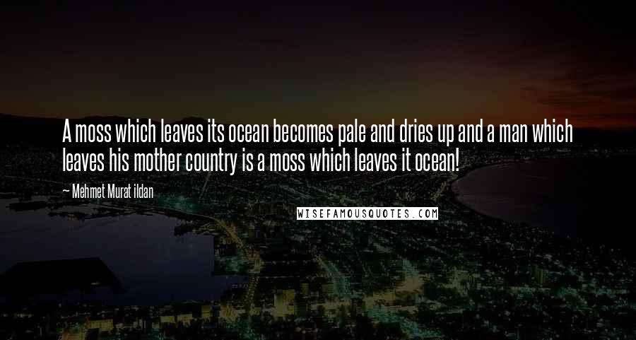 Mehmet Murat Ildan Quotes: A moss which leaves its ocean becomes pale and dries up and a man which leaves his mother country is a moss which leaves it ocean!