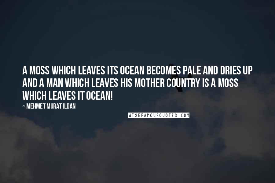 Mehmet Murat Ildan Quotes: A moss which leaves its ocean becomes pale and dries up and a man which leaves his mother country is a moss which leaves it ocean!