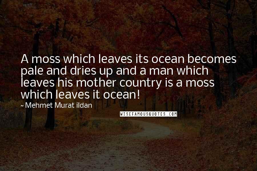 Mehmet Murat Ildan Quotes: A moss which leaves its ocean becomes pale and dries up and a man which leaves his mother country is a moss which leaves it ocean!