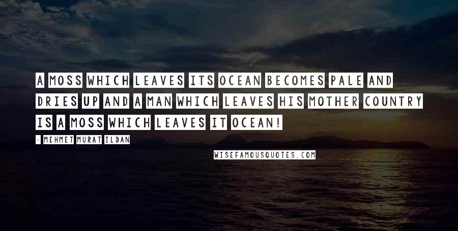 Mehmet Murat Ildan Quotes: A moss which leaves its ocean becomes pale and dries up and a man which leaves his mother country is a moss which leaves it ocean!