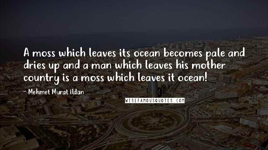 Mehmet Murat Ildan Quotes: A moss which leaves its ocean becomes pale and dries up and a man which leaves his mother country is a moss which leaves it ocean!