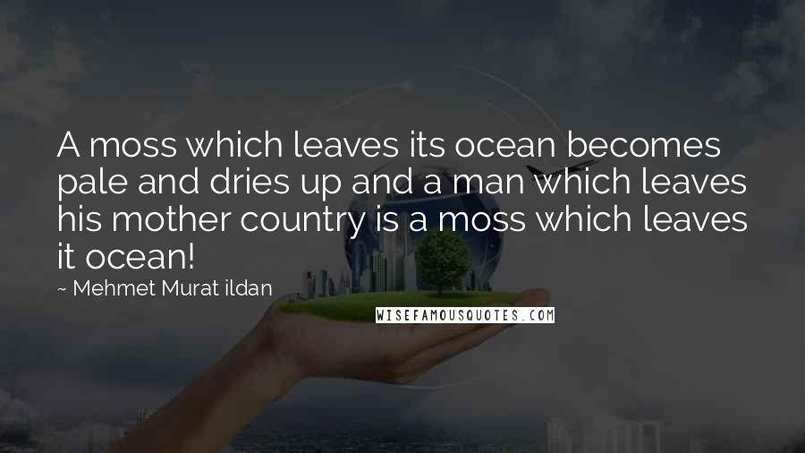 Mehmet Murat Ildan Quotes: A moss which leaves its ocean becomes pale and dries up and a man which leaves his mother country is a moss which leaves it ocean!