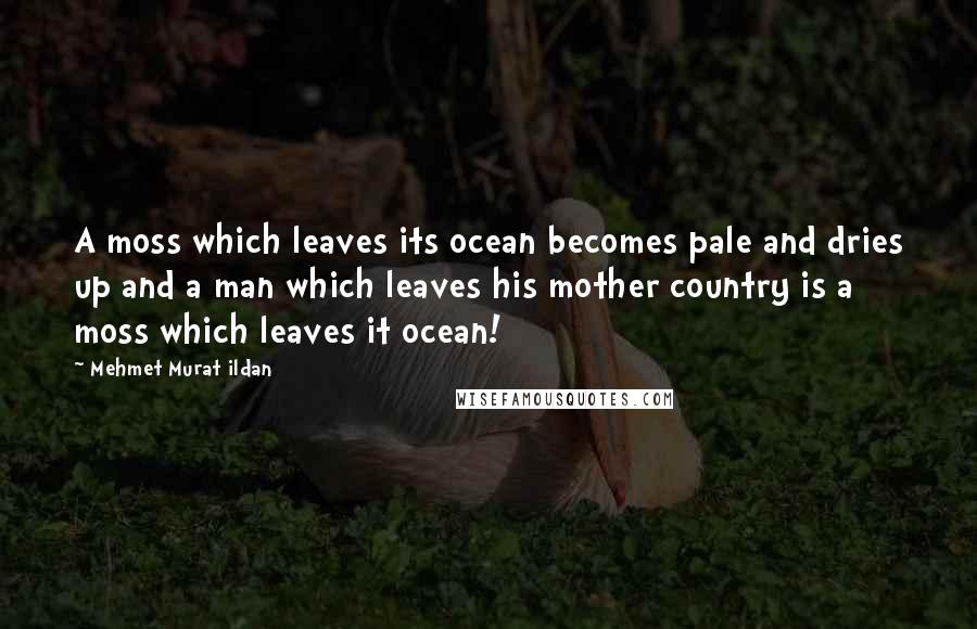 Mehmet Murat Ildan Quotes: A moss which leaves its ocean becomes pale and dries up and a man which leaves his mother country is a moss which leaves it ocean!