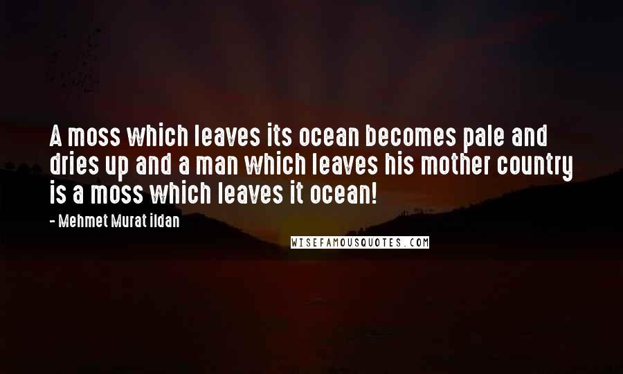 Mehmet Murat Ildan Quotes: A moss which leaves its ocean becomes pale and dries up and a man which leaves his mother country is a moss which leaves it ocean!