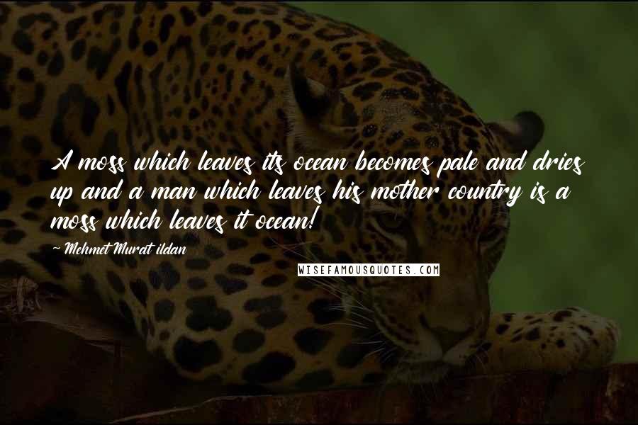 Mehmet Murat Ildan Quotes: A moss which leaves its ocean becomes pale and dries up and a man which leaves his mother country is a moss which leaves it ocean!