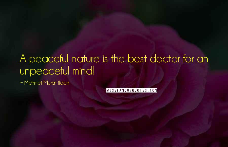 Mehmet Murat Ildan Quotes: A peaceful nature is the best doctor for an unpeaceful mind!