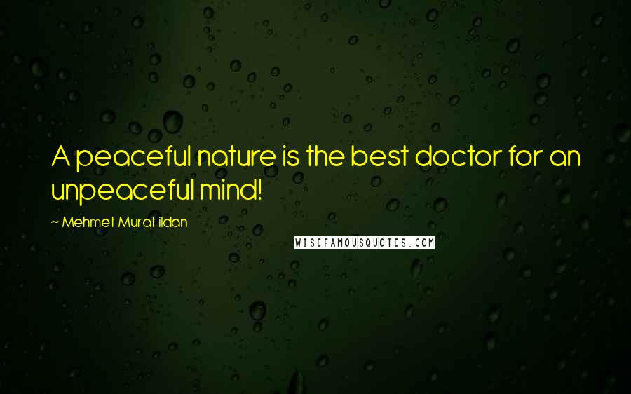 Mehmet Murat Ildan Quotes: A peaceful nature is the best doctor for an unpeaceful mind!