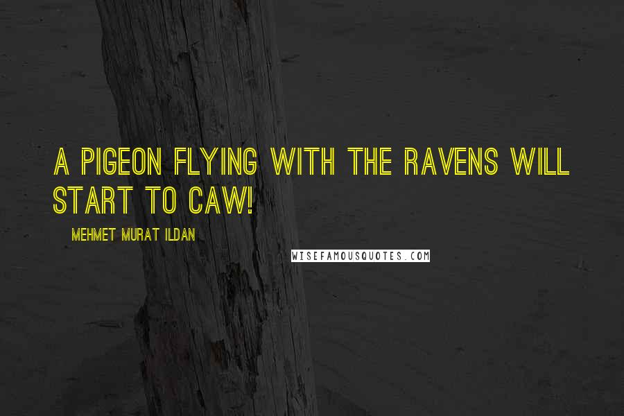 Mehmet Murat Ildan Quotes: A pigeon flying with the ravens will start to caw!