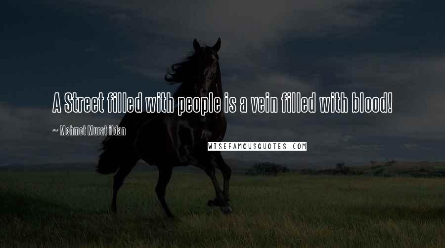 Mehmet Murat Ildan Quotes: A Street filled with people is a vein filled with blood!