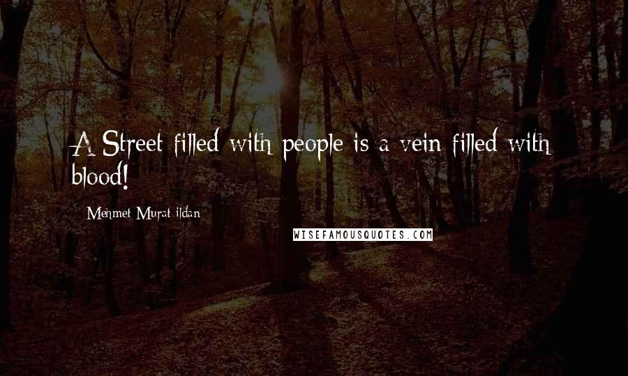 Mehmet Murat Ildan Quotes: A Street filled with people is a vein filled with blood!