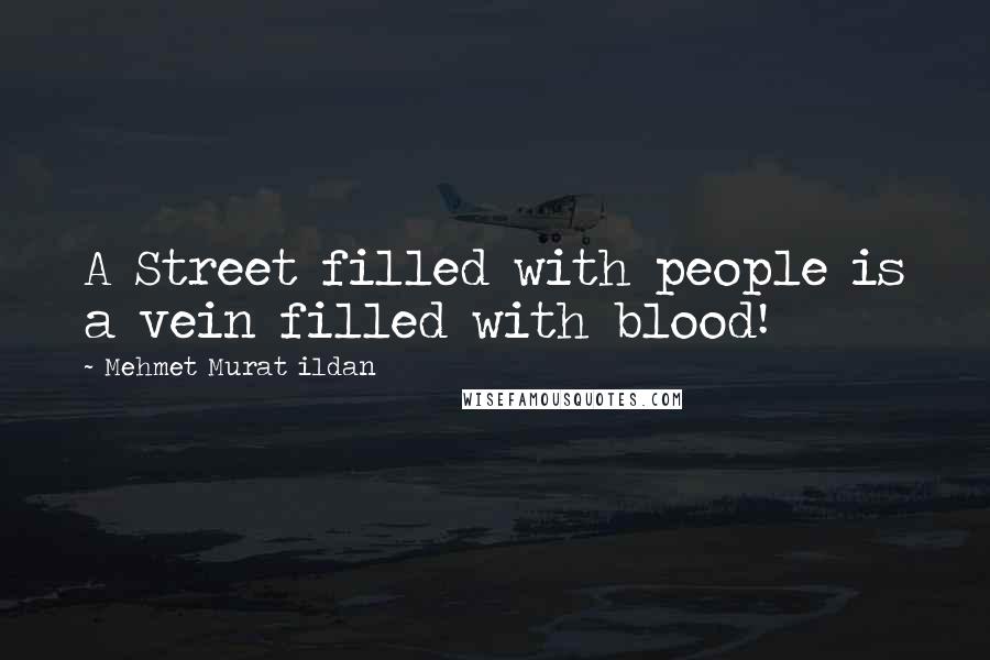 Mehmet Murat Ildan Quotes: A Street filled with people is a vein filled with blood!