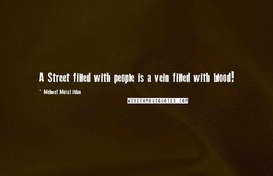 Mehmet Murat Ildan Quotes: A Street filled with people is a vein filled with blood!