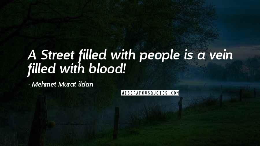 Mehmet Murat Ildan Quotes: A Street filled with people is a vein filled with blood!