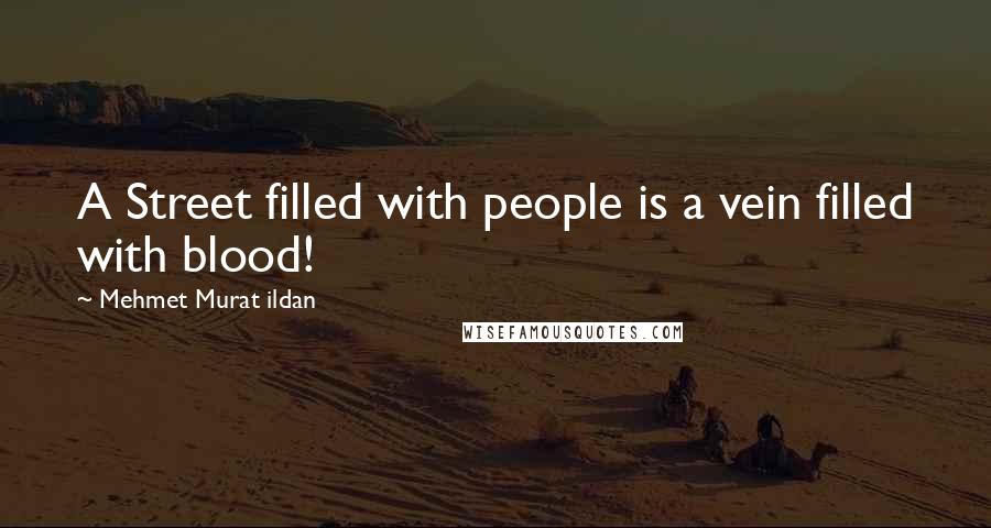 Mehmet Murat Ildan Quotes: A Street filled with people is a vein filled with blood!