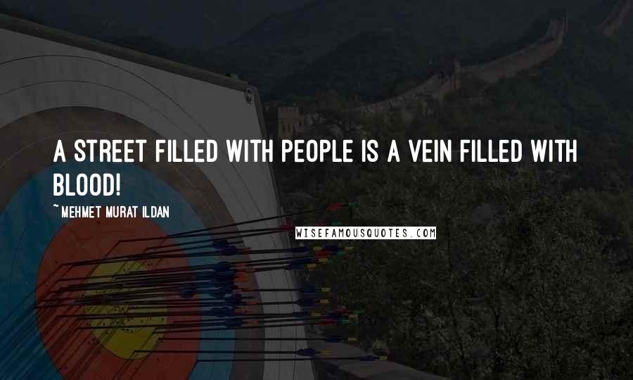 Mehmet Murat Ildan Quotes: A Street filled with people is a vein filled with blood!