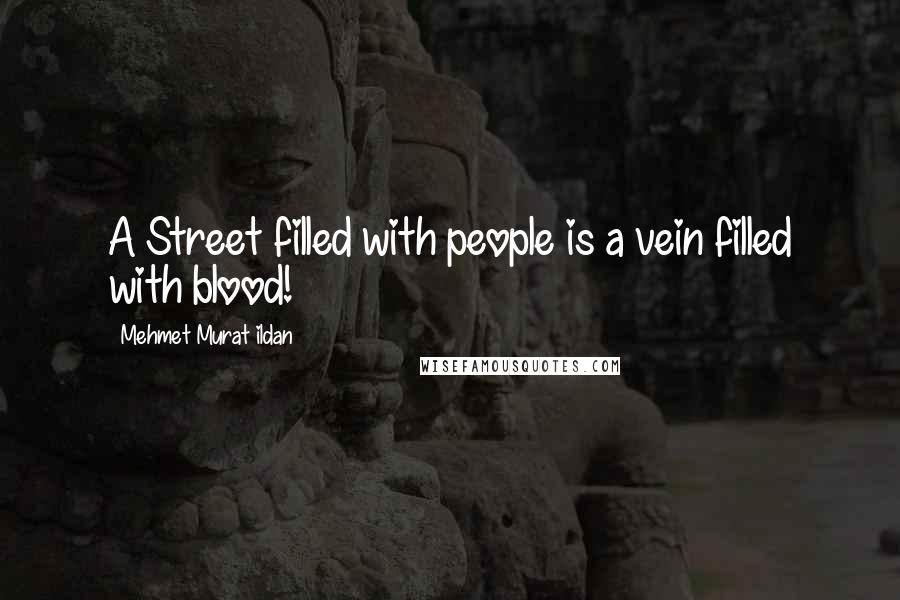 Mehmet Murat Ildan Quotes: A Street filled with people is a vein filled with blood!
