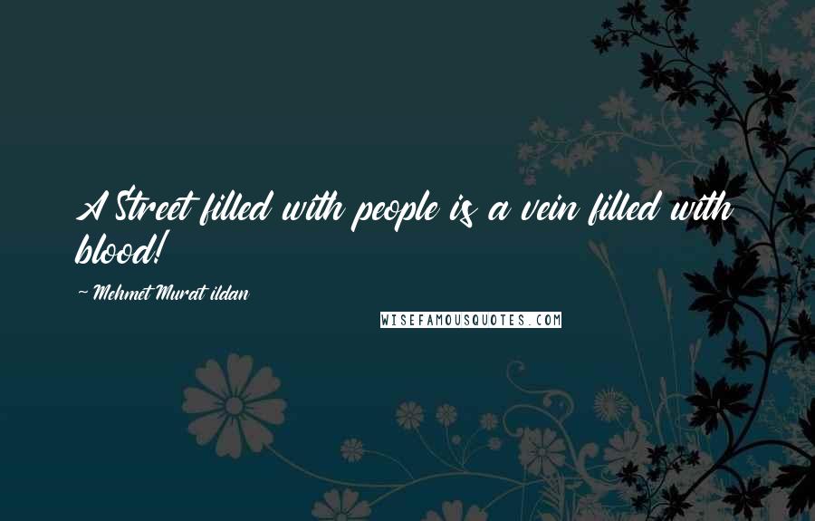 Mehmet Murat Ildan Quotes: A Street filled with people is a vein filled with blood!