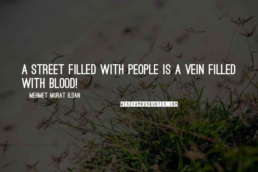 Mehmet Murat Ildan Quotes: A Street filled with people is a vein filled with blood!