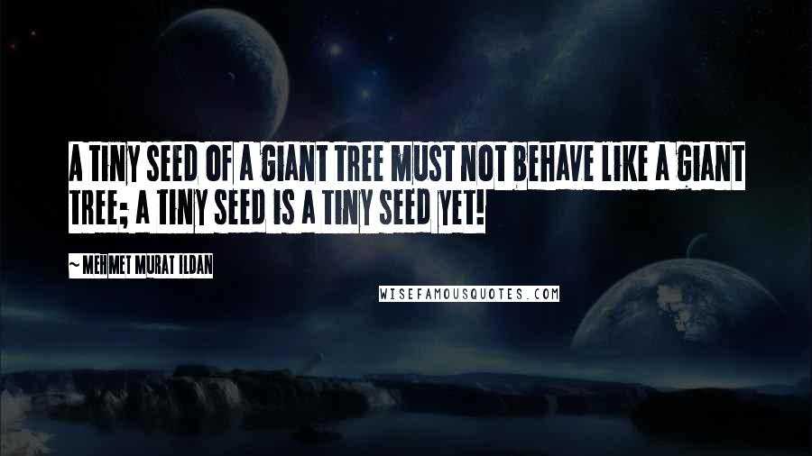 Mehmet Murat Ildan Quotes: A tiny seed of a giant tree must not behave like a giant tree; a tiny seed is a tiny seed yet!