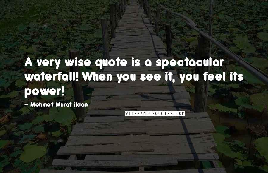 Mehmet Murat Ildan Quotes: A very wise quote is a spectacular waterfall! When you see it, you feel its power!