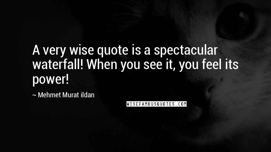 Mehmet Murat Ildan Quotes: A very wise quote is a spectacular waterfall! When you see it, you feel its power!