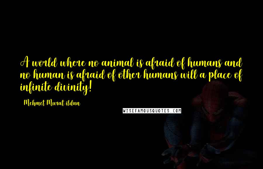 Mehmet Murat Ildan Quotes: A world where no animal is afraid of humans and no human is afraid of other humans will a place of infinite divinity!